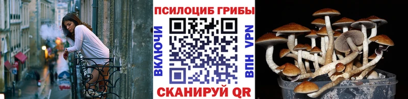 наркотики  Вилючинск  Галлюциногенные грибы Magic Shrooms 