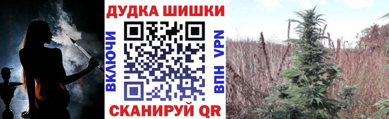 цены наркотик  darknet телеграм  Конопля White Widow  Вилючинск 